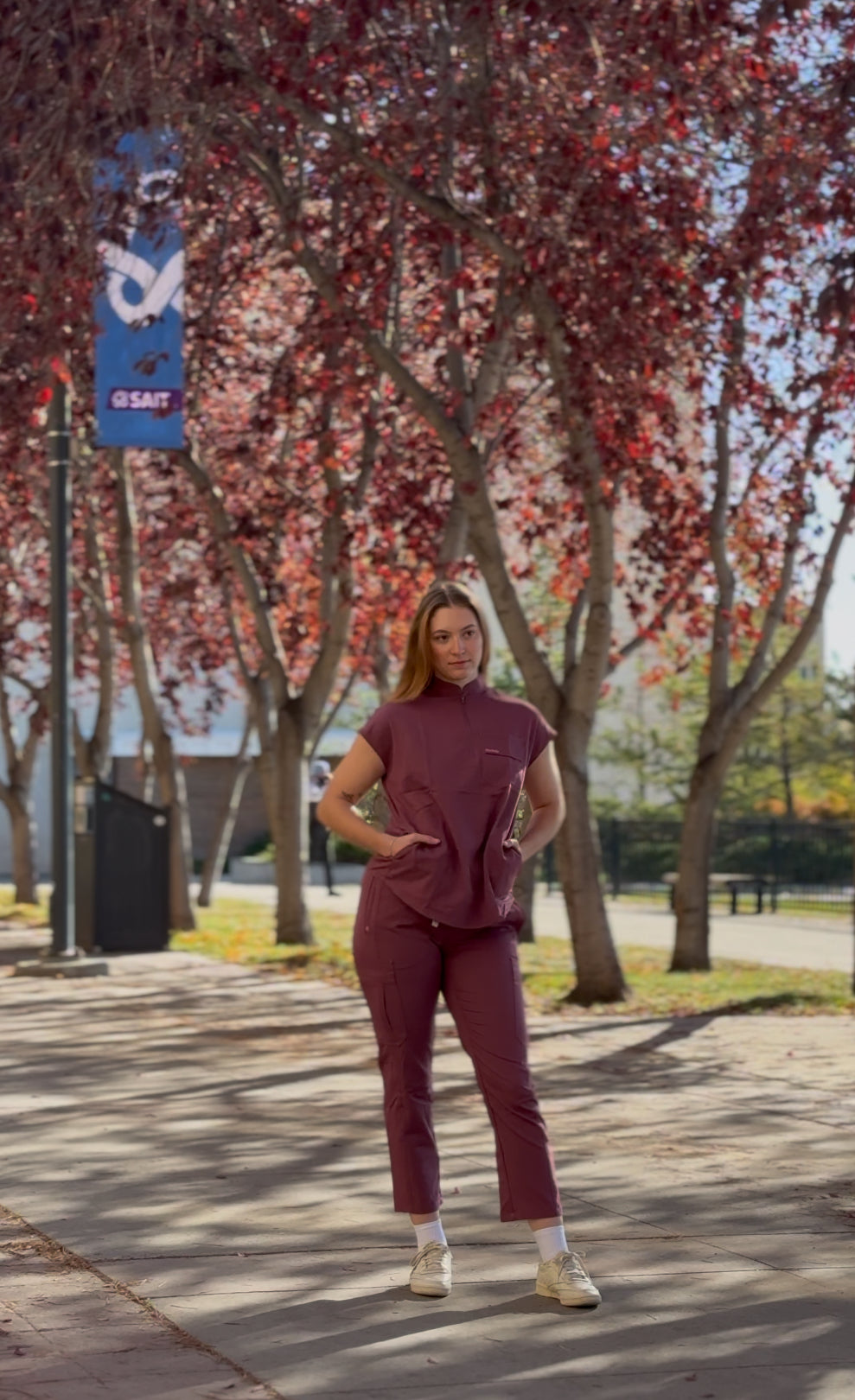 Premium Pro Petite Straight Pants